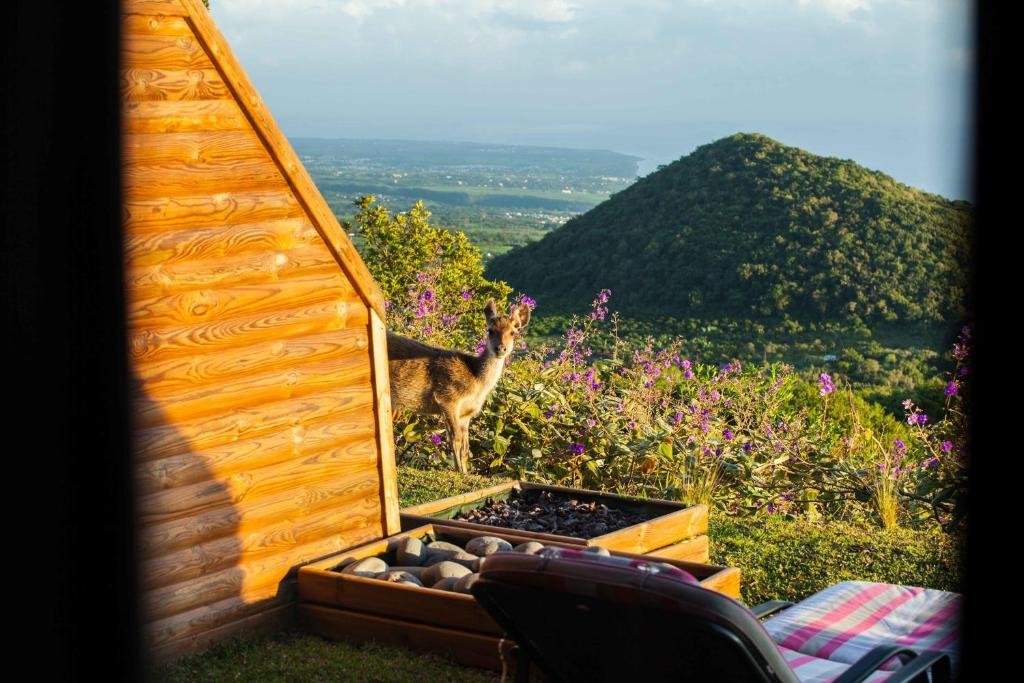 Luxury Hotel In Reunion Island Hotel Diana Dea Lodge & SPA