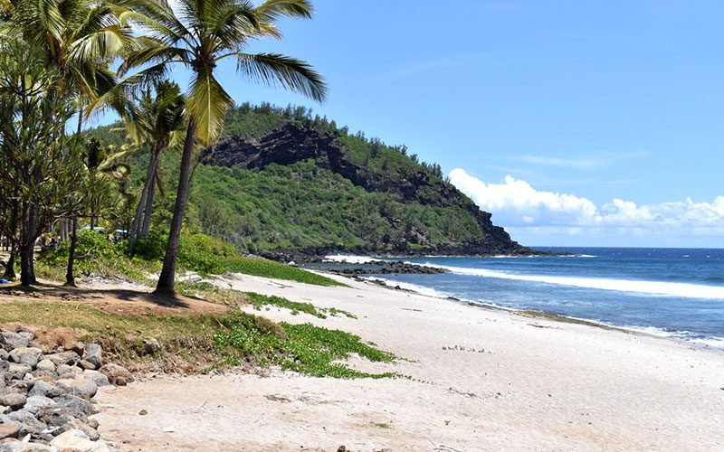 When to go to Reunion Island?